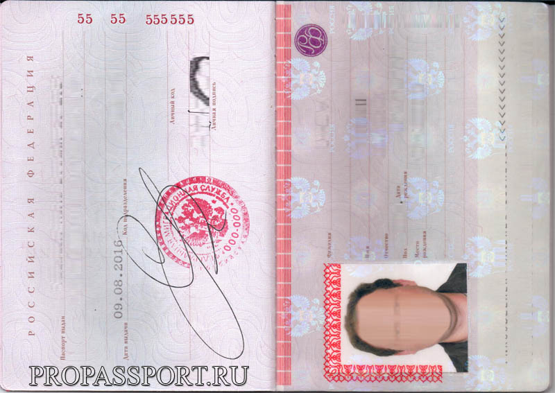 сколько делается паспорт по месту жительства