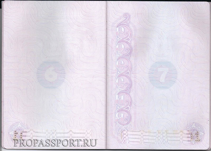 Как выглядит Общегражданский паспорт.